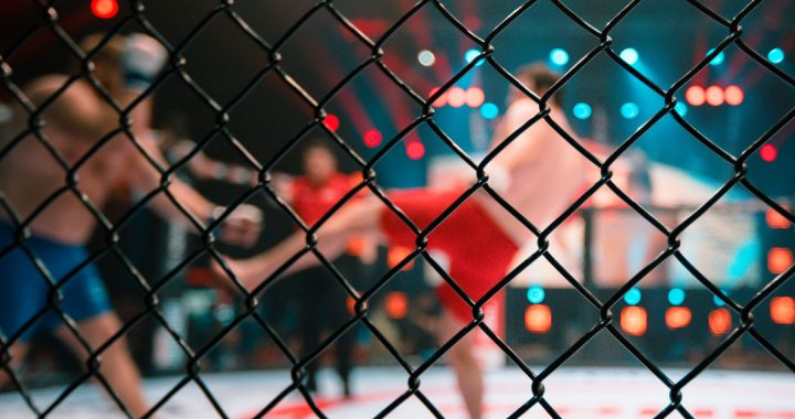 UFC mixed martial arts fighting events appear to reduce involvement in violent crime